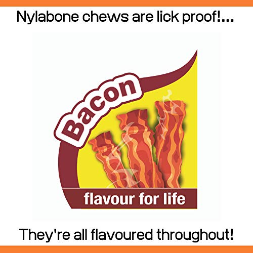 Nylabone Dura Chew Extreme Tough Dog Chew Toy Bone, Bacon Flavour, XS, for Dogs Up to 7 kg