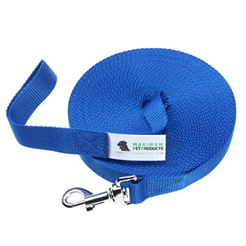 Maximum Pet Products 65ft 20M Dog & Horse Training Lunge Lead. 25mm - 1" Wide. Very Strong