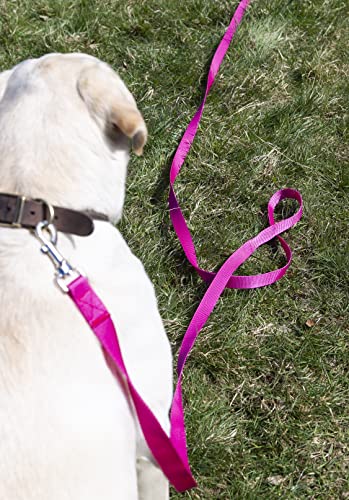 Maximum Pet Products 65ft 20M Dog & Horse Training Lunge Lead. 25mm - 1" Wide. Very Strong