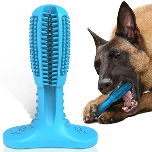 RUCACIO Dog Chew Toys, Tough Durable Dog Toothbrush Toys, Outdoor Interactive Dog Toys Dogs Dental Care Teeth Cleaning Toy, Puppy Dog Birthday Gifts