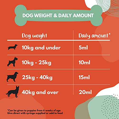 Buddy & Lola Fast-Acting Dog Diarrhea Treatment with Electrolytes - 20 Servings - Tummy Settler For Dogs All Breeds, Sizes and Ages - Syringe Included