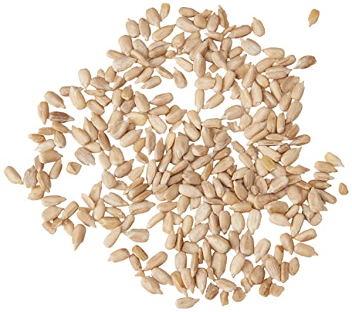 Garden Ting Sunflower Hearts Wild Bird Food Tub