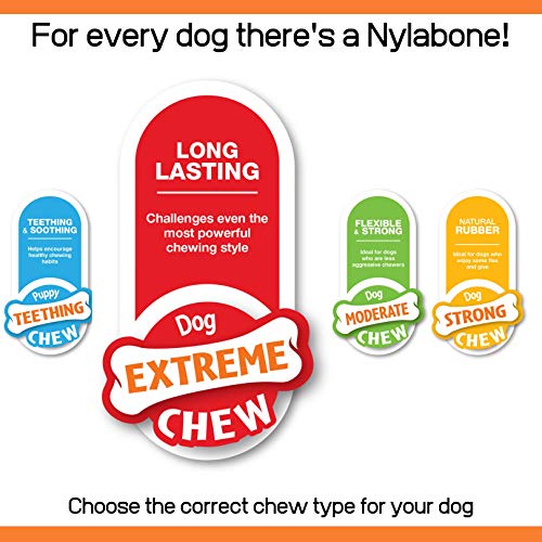 Nylabone Dura Chew Extreme Tough Dog Chew Toy Bone, Bacon Flavour, XS, for Dogs Up to 7 kg