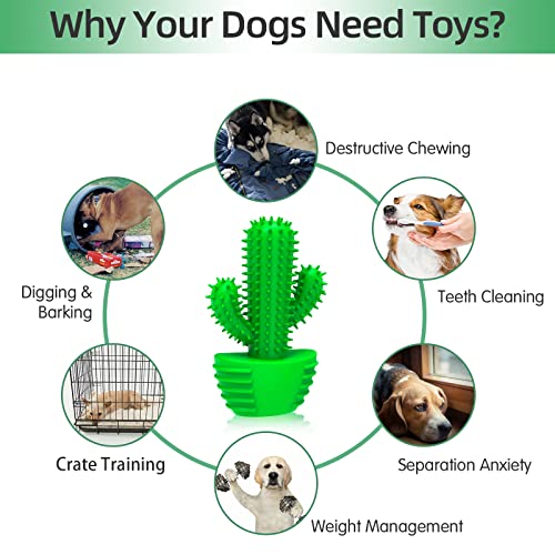 RUCACIO Dog Chew Toys, Tough Durable Dog Toothbrush Toys, Outdoor Interactive Dog Toys Dogs Dental Care Teeth Cleaning Toy, Puppy Dog Birthday Gifts