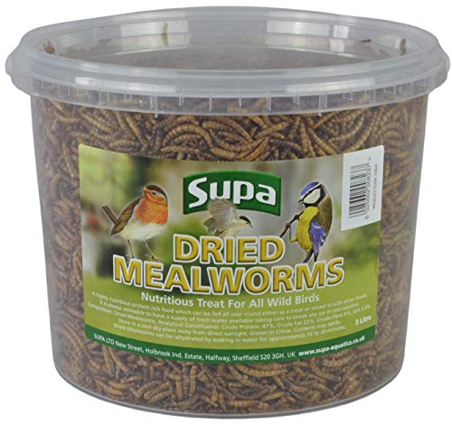 Supa Dried Mealworms for Wild Birds, 3 Litre Bucket, High Energy Protein Rich Treat For Garden Birds, Attract More Birds To Your Garden, Quality Wild Bird Food.