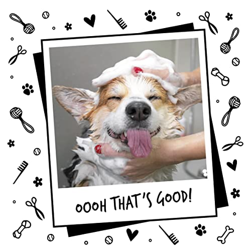 BUGALUGS Baby Fresh Dog Shampoo 500ml dog grooming shampoo products for smelly dogs with baby powder scent, best puppy shampoo baby fresh, shampoo conditioner, Vegan pet shampoo professional