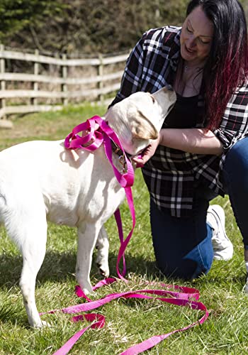 Maximum Pet Products 65ft 20M Dog & Horse Training Lunge Lead. 25mm - 1" Wide. Very Strong
