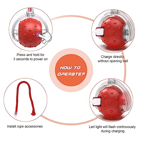 IOKHEIRA Interactive Cat Toy Electric Automatic Cat Toys for Indoor Cats,Rechargeable Irregular Moving Cat Toys,Stimulate Cats' Hunting Instincts, for Indoor Cats Adult,All Floors & Carpet Available