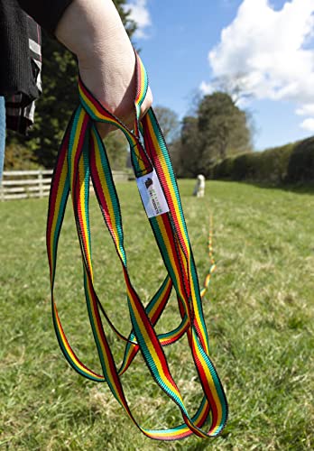 Maximum Pet Products 65ft 20M Dog & Horse Training Lunge Lead. 25mm - 1" Wide. Very Strong