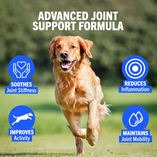 JOINTSURE Joint Support Supplements for Dogs – 300 Tabs, Aids Stiff Joints, Supports Joint Structure & Maintains Mobility in Adult/Senior Dogs | Advanced Formula Helps Arthritis Relief