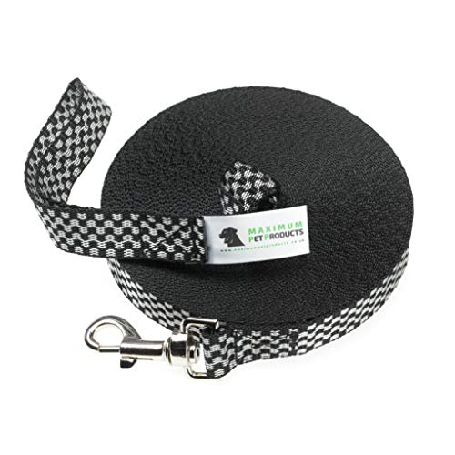 Maximum Pet Products 65ft 20M Dog & Horse Training Lunge Lead. 25mm - 1" Wide. Very Strong