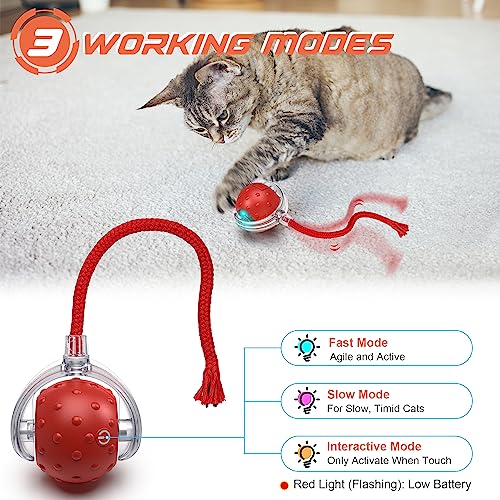 IOKHEIRA Interactive Cat Toy Electric Automatic Cat Toys for Indoor Cats,Rechargeable Irregular Moving Cat Toys,Stimulate Cats' Hunting Instincts, for Indoor Cats Adult,All Floors & Carpet Available