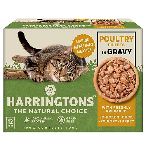Harringtons Wet Cat Food Mixed in Jelly
