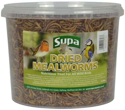 Supa Dried Mealworms for Wild Birds, 3 Litre Bucket, High Energy Protein Rich Treat For Garden Birds, Attract More Birds To Your Garden, Quality Wild Bird Food.