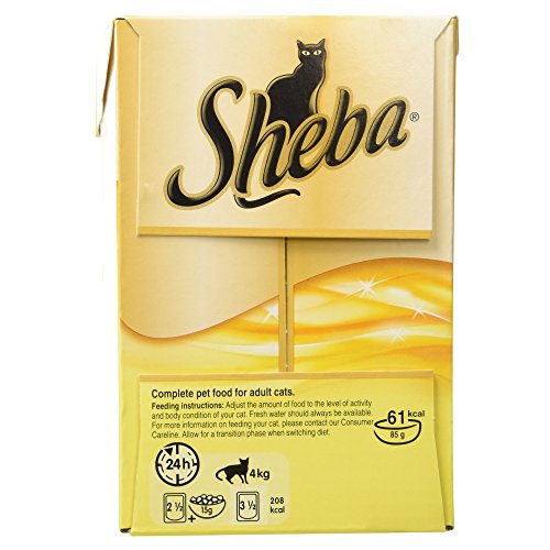 Sheba Fine Flakes Poultry Collection in Jelly 40 Pouches, Adult Wet Cat Food