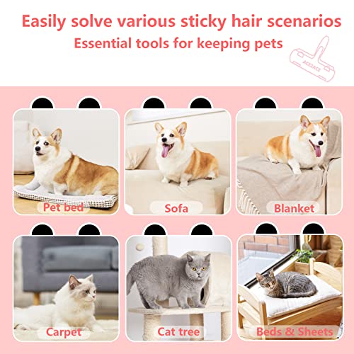 Essential tools for keeping pets