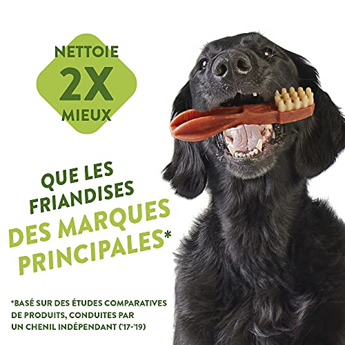 WHIMZEES By Wellness Variety Box, Mixed Shapes, Natural and Grain-Free Dog Chews, Dog Dental Sticks for Medium Breeds