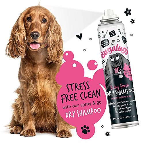 BUGALUGS Baby Fresh Dog Shampoo 500ml dog grooming shampoo products for smelly dogs with baby powder scent, best puppy shampoo baby fresh, shampoo conditioner, Vegan pet shampoo professional