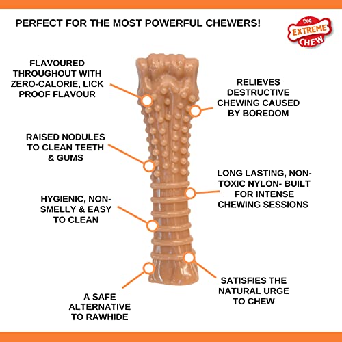 Nylabone Dura Chew Extreme Tough Dog Chew Toy Bone, Bacon Flavour, XS, for Dogs Up to 7 kg
