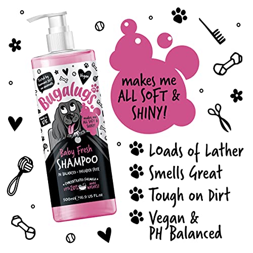 BUGALUGS Baby Fresh Dog Shampoo 500ml dog grooming shampoo products for smelly dogs with baby powder scent, best puppy shampoo baby fresh, shampoo conditioner, Vegan pet shampoo professional