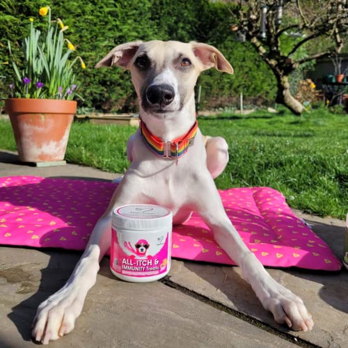 NutriPaw All-Itch Immunity Treats For Dogs - Soothe Itchy Paws, Eyes, Ears, Skin - Stop Itching, Licking, Scratching - Perfect for Small, Medium & Large Dogs - Supports Seasonal Itching