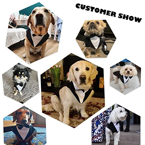 Dog Tuxedo Suit, Dog Clothes Coton Wedding Party Costume Puppy Formal Outfit Festival Shirt Coat Apparel with Detachable Bow Tie Bandana