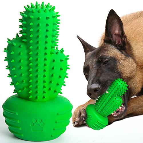 RUCACIO Dog Chew Toys, Tough Durable Dog Toothbrush Toys, Outdoor Interactive Dog Toys Dogs Dental Care Teeth Cleaning Toy, Puppy Dog Birthday Gifts