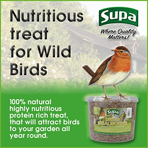 Supa Dried Mealworms for Wild Birds, 3 Litre Bucket, High Energy Protein Rich Treat For Garden Birds, Attract More Birds To Your Garden, Quality Wild Bird Food.