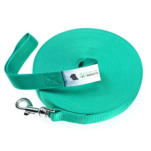 Maximum Pet Products 65ft 20M Dog & Horse Training Lunge Lead. 25mm - 1" Wide. Very Strong