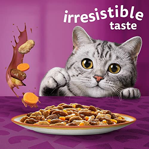 Whiskas 1+ Adult Mixed Selection in Jelly 84 Pouches, Adult Wet Cat Food, Megapack