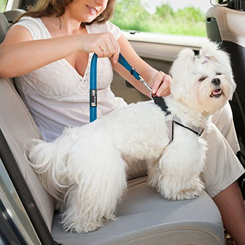 Seat Belt for dogs with Anti shock Bungee Buffer One of Important Car Travel Accessories for Dogs Adjustible, Elastic