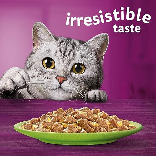 Whiskas 1+ Adult Mixed Selection in Jelly 84 Pouches, Adult Wet Cat Food, Megapack