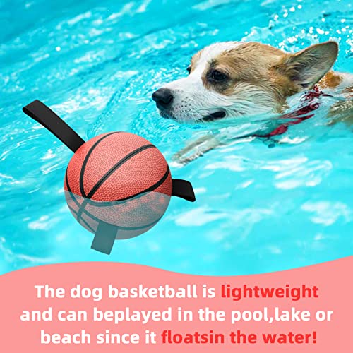 HETOO Dog Toys, Interactive Dog Football Toys with Grab Tabs, Durable Dog Balls for Small Medium Breed Dog Water Toy Indoor & Outdoor, Gift for Dogs