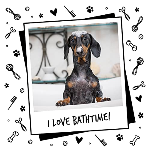 Dog Shampoo by Bugalugs lavender & chamomile 4 in 1 dog grooming shampoo products for smelly dogs with fragrance, best puppy shampoo, professional groom Vegan pet shampoo & conditioner