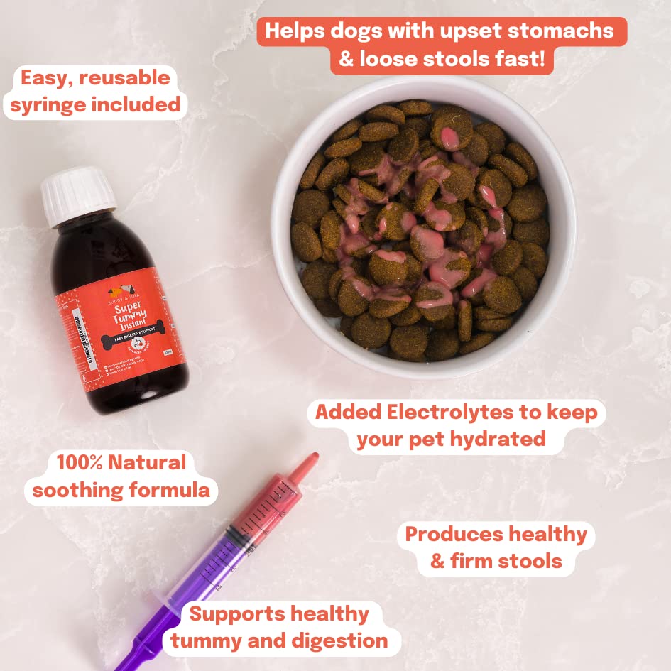 Buddy & Lola Fast-Acting Dog Diarrhea Treatment with Electrolytes - 20 Servings - Tummy Settler For Dogs All Breeds, Sizes and Ages - Syringe Included