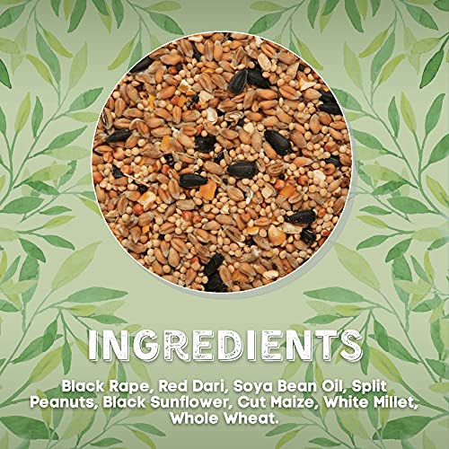 Copdock Mill Wild Bird Seed & Grain Mix 20kg Bag – All Year-Round High-Energy Wild Bird Food – 100% Natural Ingredients Including Sunflower Seeds and Peanuts