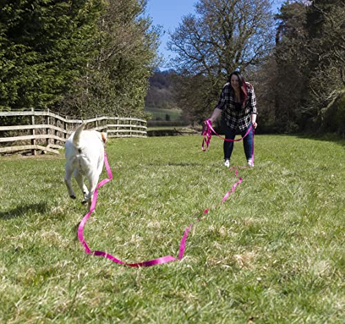Maximum Pet Products 65ft 20M Dog & Horse Training Lunge Lead. 25mm - 1" Wide. Very Strong