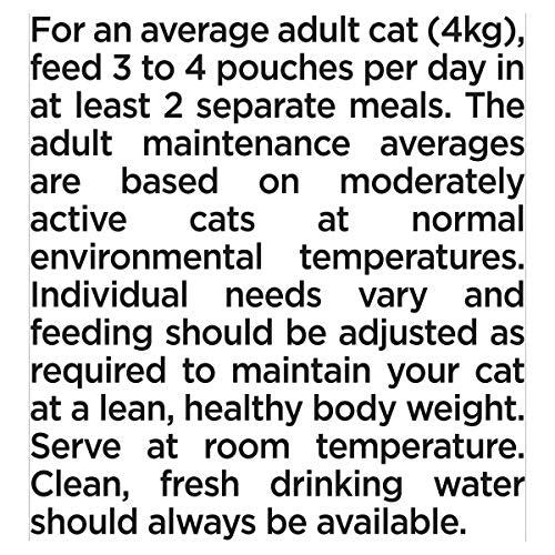 Gourmet Wet Cat Food Pouches in Gravy - Perle Chef's Collection 40 x 85g - Mix of Fish, Lamb, Duck, Turkey, Pet Food - Wet - Bulk Food, Cat Wet Food suitable for Adult and Senior Cats