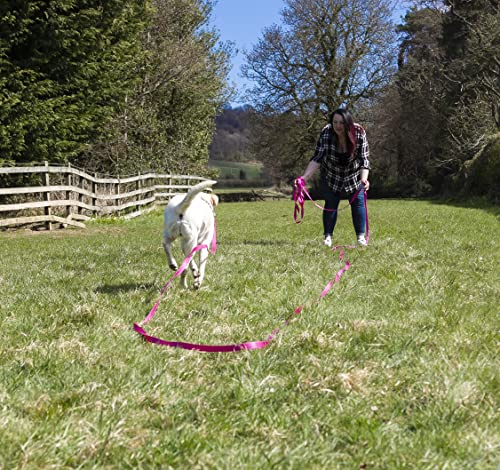 Maximum Pet Products 65ft 20M Dog & Horse Training Lunge Lead. 25mm - 1" Wide. Very Strong