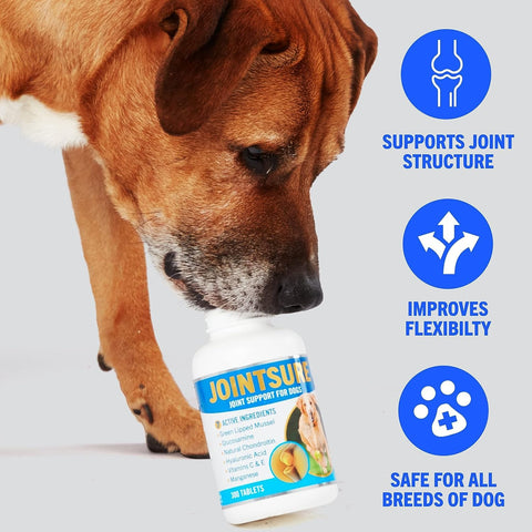 JOINTSURE Joint Support Supplements for Dogs – 300 Tabs, Aids Stiff Joints, Supports Joint Structure & Maintains Mobility in Adult/Senior Dogs | Advanced Formula Helps Arthritis Relief