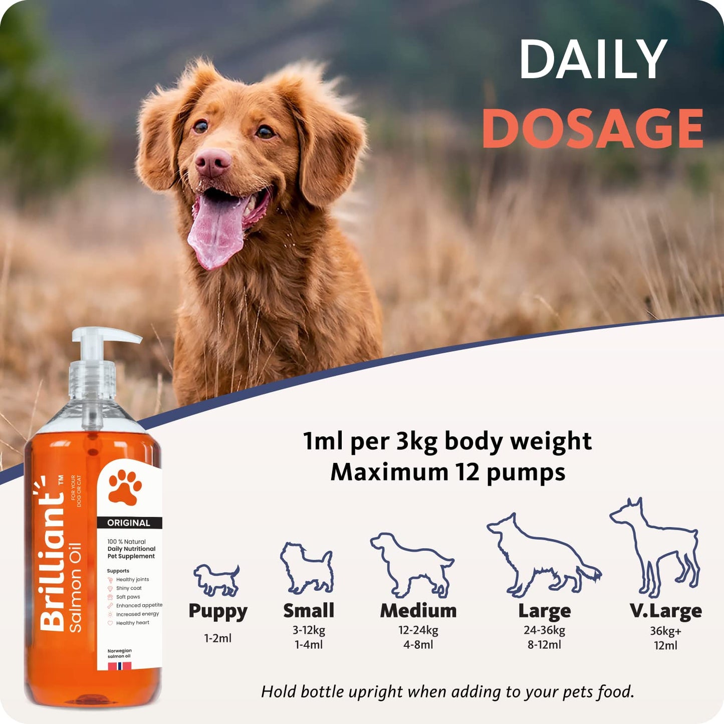Brilliant Salmon Oil for Dogs, Cats, Puppy, Horse, Ferret & Pets - Pure Omega 3, 6 & 9 Fish Oil Food Supplement | Treats Itchy Skin, Joint Care, Heart Health & Natural Coat Hofseth BioCare