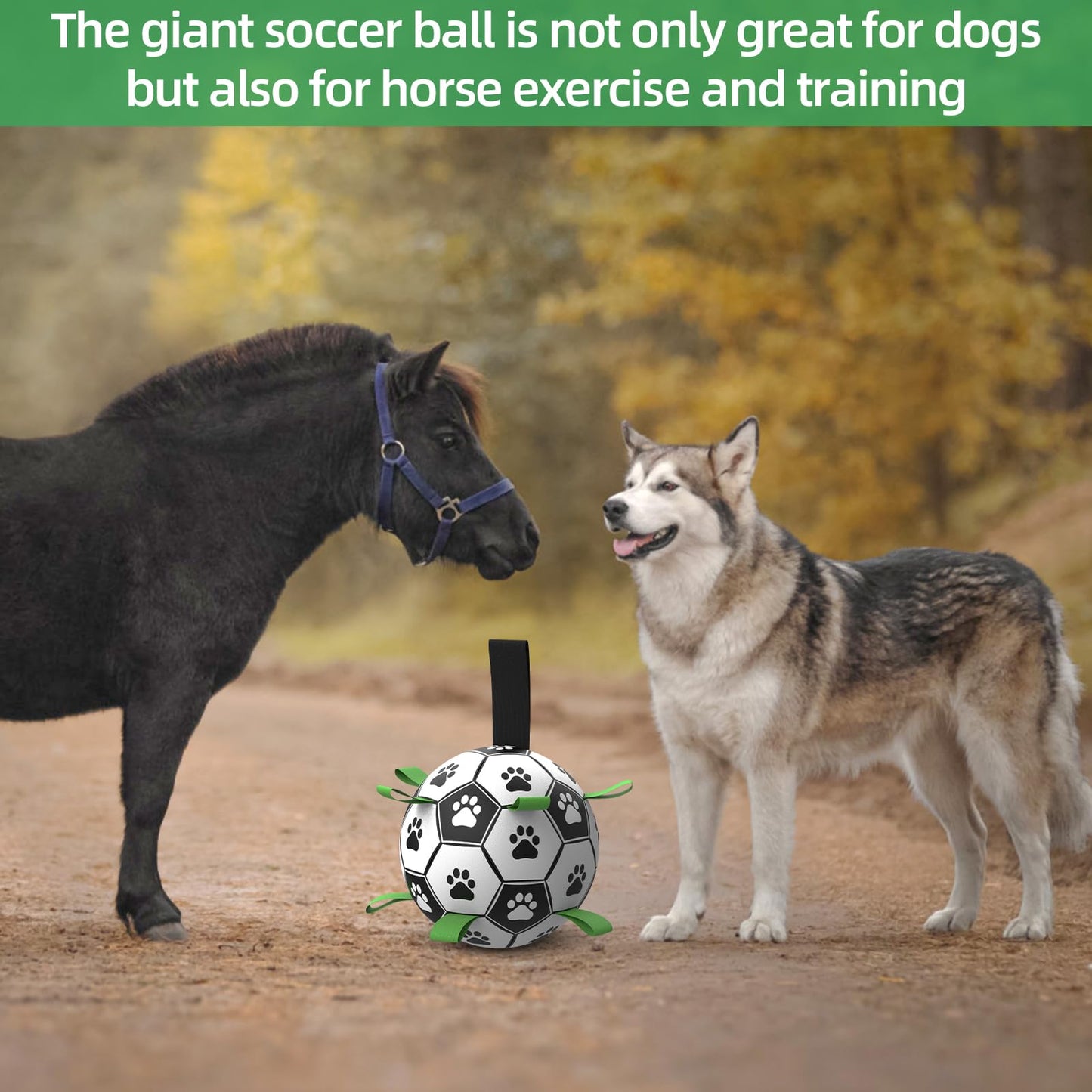 HETOO Dog Toys, Interactive Dog Football Toys with Grab Tabs, Durable Dog Balls for Small Medium Breed Dog Water Toy Indoor & Outdoor, Gift for Dogs