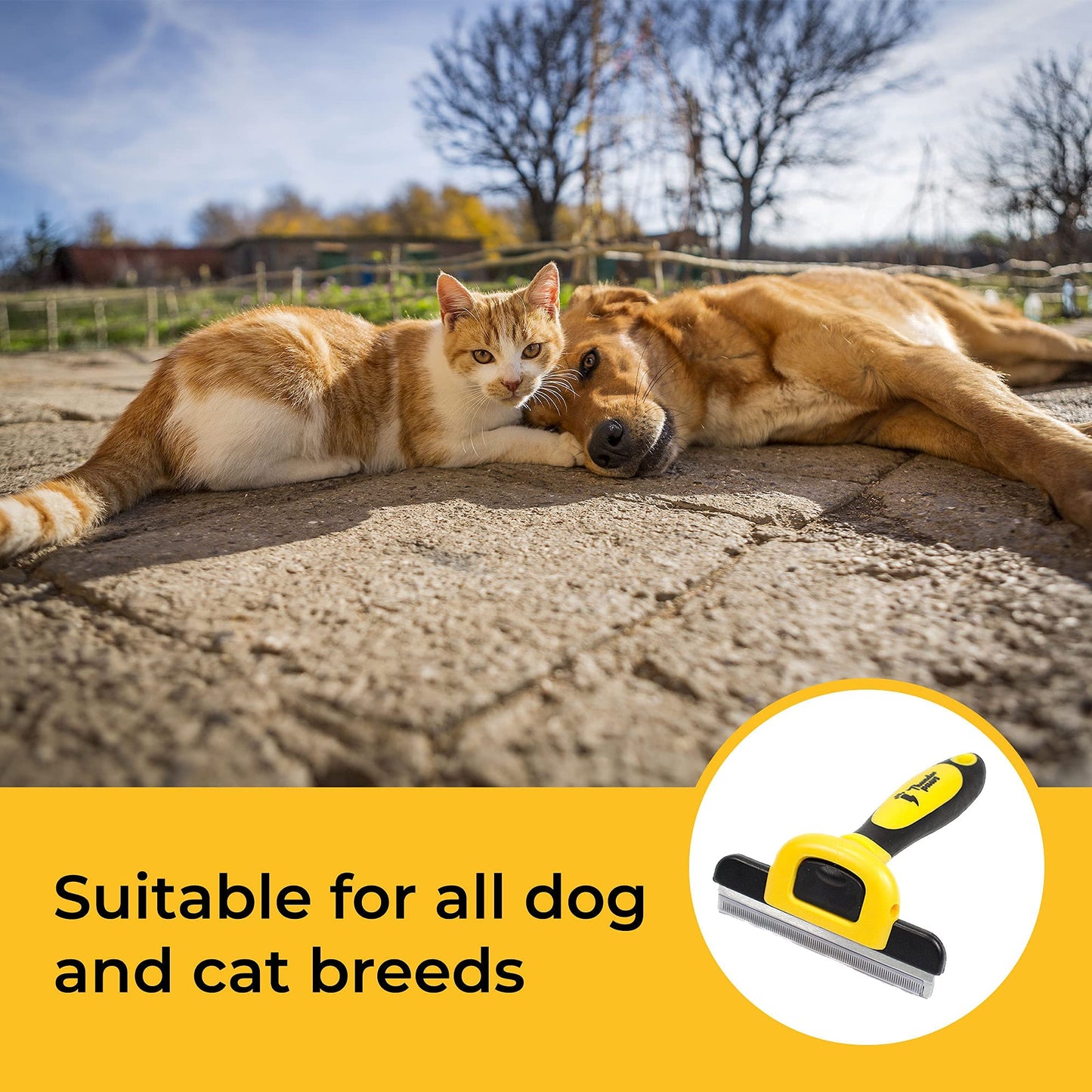 Thunderpaws Best Professional Deshedding Tool and Pet Grooming Brush – D-Shedz for Small, Medium and Large Breeds of Dogs and Cats with Short or Long Hair