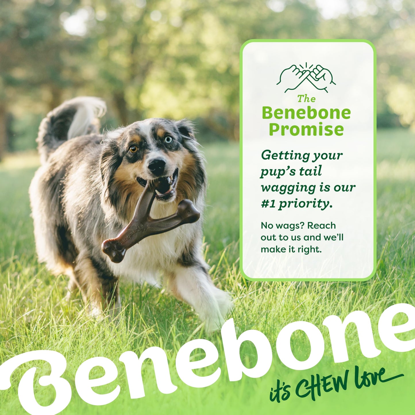 Benebone Indestructible Wishbone Dog Chew Toy for Aggressive Chewers, Long Lasting Tough Boredom Breaker for Dogs, Real Bacon Flavour, For Medium Dogs