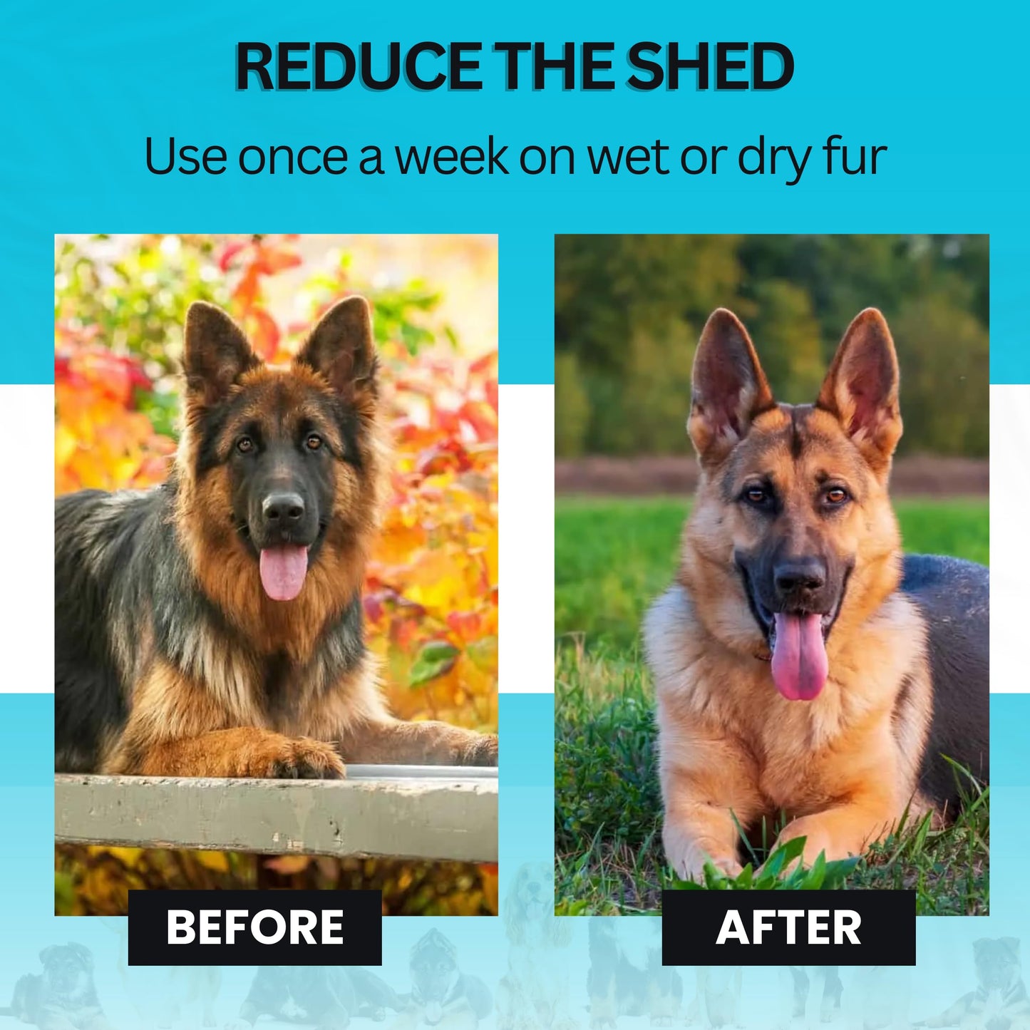 Candure Dematting Comb for Dog and Cat, Pet Grooming Rake and Brushes for Small, Medium & Large Dogs 17+9 Double Sided Deshedding Tool Removes Knots and Tangled Hair